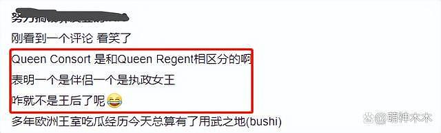 查尔斯继位，英媒用“国王配偶”形容卡米拉，非正式的王后头衔 - 15