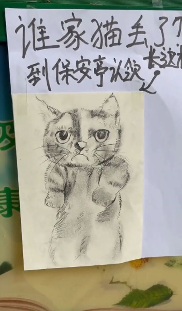 保安捡到猫咪后作画一张，网友：不能说很像，简直就是一模一样 - 5