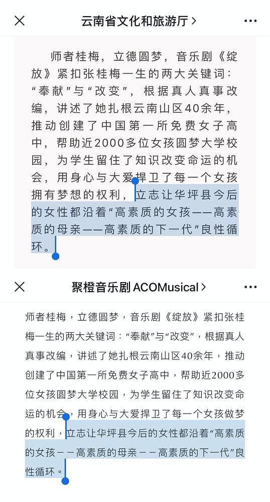 张桂梅音乐剧宣传文案引争议 编剧发文回应 - 2