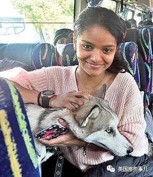 印度女孩带哈士奇逃离乌克兰，步行 20 公里过边境，历经磨难终于回家… - 5