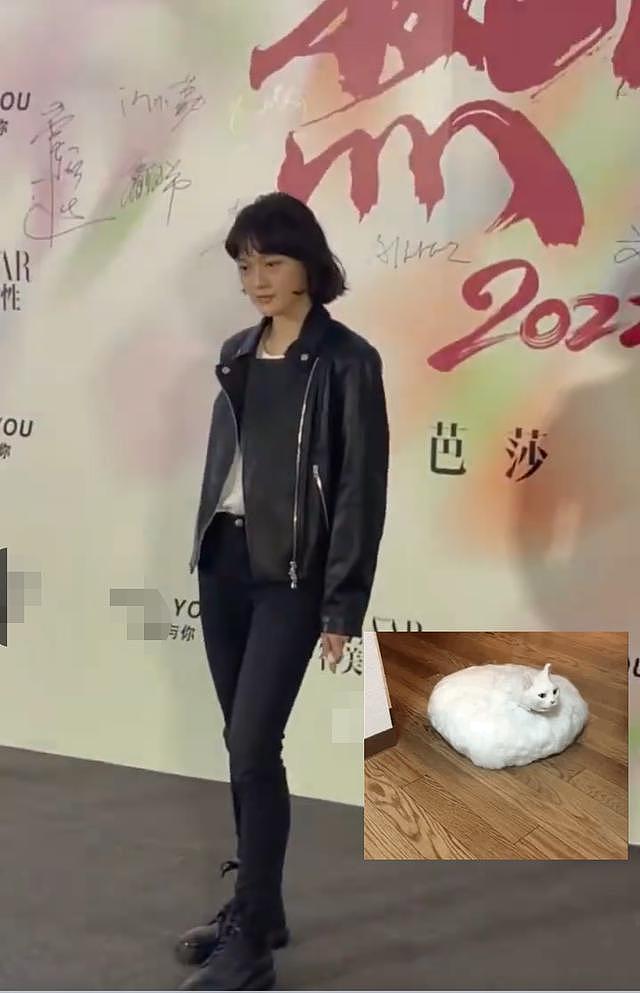 赵今麦的腰、张子枫的腿，靠演技出圈的 00 花也开始营销美貌了？ - 23