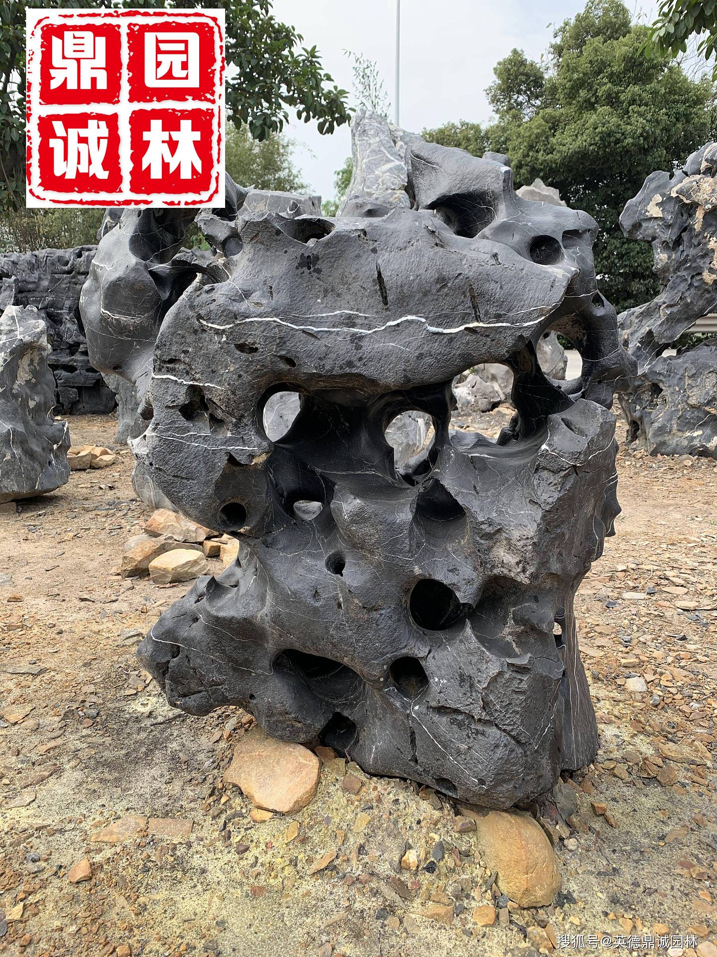 天然太湖石独石是一种奇特的窟窿石 - 3