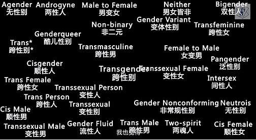 「男变女，女变男」：那些跨不过性别的人 - 14