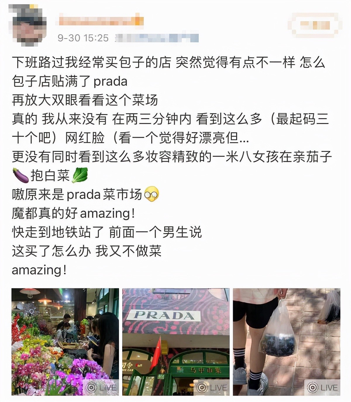 上海Prada菜场惊现畸形打卡！女子拍完照就将菜扔进了垃圾桶！央视：买椟还珠 - 17