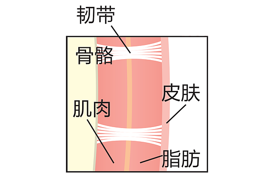 5秒钟按压操 缓解法令纹！ - 3