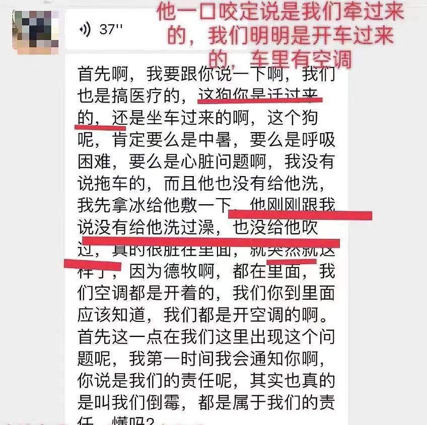 又一只金毛因洗澡死在宠物店，店家逃卸责任的理由太无耻了！ - 5