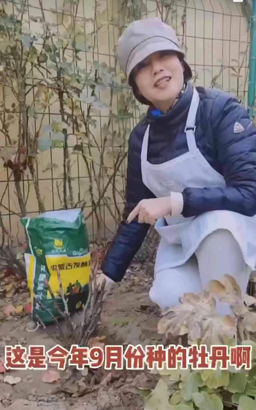 央视主持人徐俐打理自家花园，用铲子挖羊粪不嫌脏 - 2