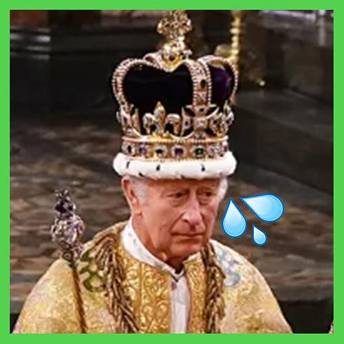 最被嫌弃的国王，跟上位的小三，戴着几千颗钻的王冠，登基了 - 11