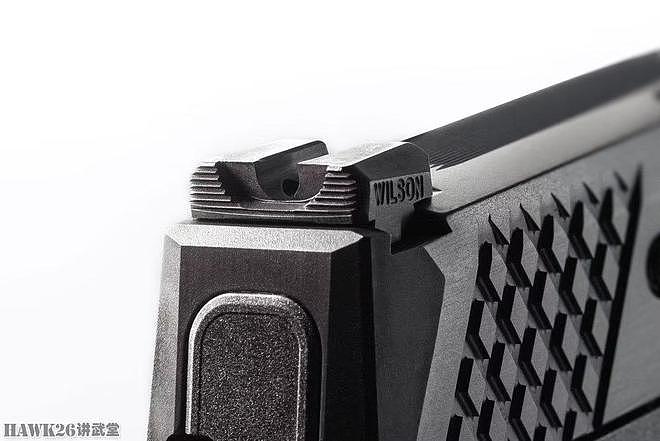 威尔森战斗公司WCP365 西格绍尔P365升级 日常携带手枪终极产品 - 8
