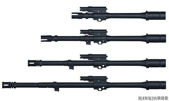 美国枪械作家眼中的HK433步枪 模块化设计出色 未必拿下德军合同 - 5