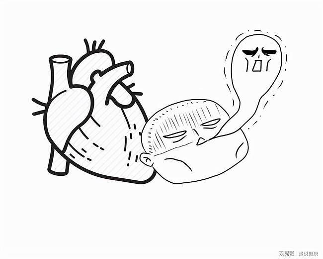 世界心脏日：体检查出窦性心律不齐，难道意味着自己患有心脏病？ - 3