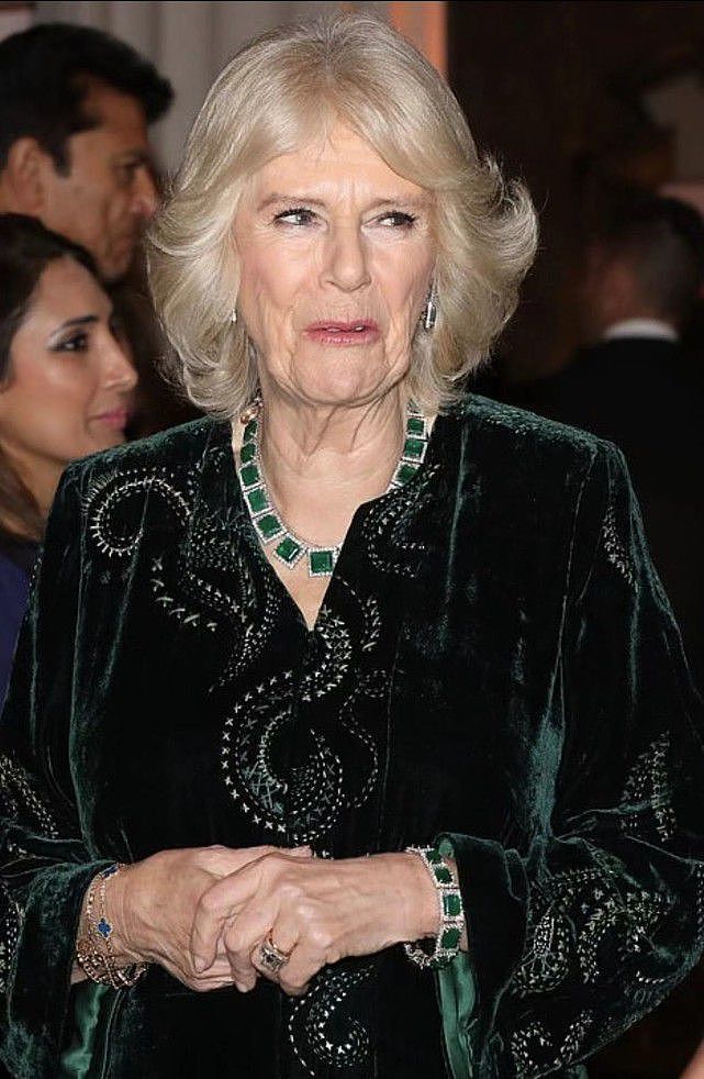 查尔斯夫妇亮相招待会！74岁卡米拉穿墨绿色长褂好美，很有王后范 - 16