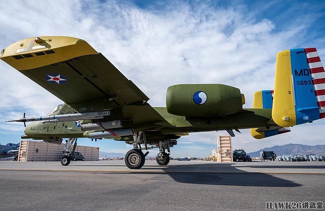 A-10特殊古典涂装亮相 纪念马里兰州空军国民警卫队成立100周年 - 9