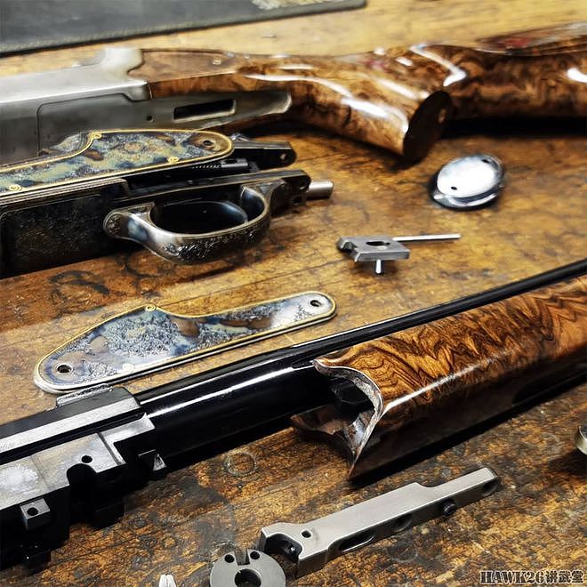 图说：奥斯瓦尔德·普林茨精美作品欣赏 代表德国新一代枪械王朝 - 4
