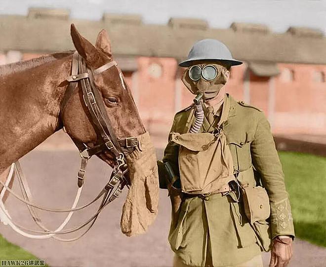 第一次世界大战染色照片：先进技术为历史注入活力 触摸生动瞬间 - 13