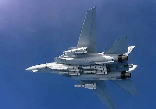 美国海军是这样测试F-14雄猫战斗机发射不死鸟空空导弹的 - 5