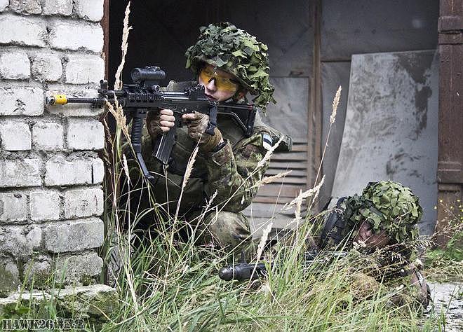 在乌克兰作战的“志愿战士”返回爱沙尼亚 培训本国军队改进战术 - 2