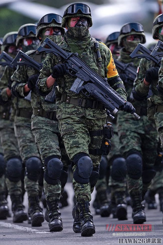 墨西哥独立日阅兵彩排 士兵面涂国旗色接受检阅 特色轻武器亮相 - 1