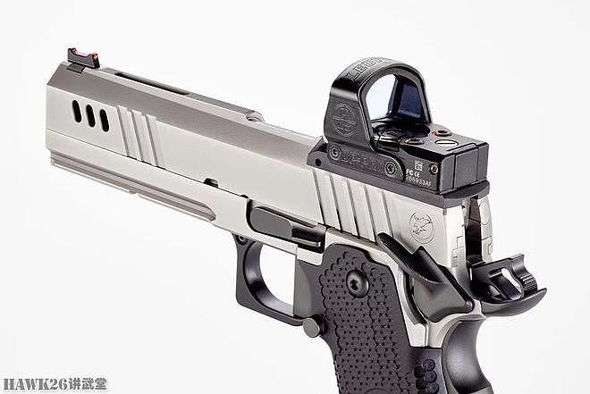 夜鹰定制公司BDS9手枪 专为应用射击赛事研制 全不锈钢手工打造 - 9