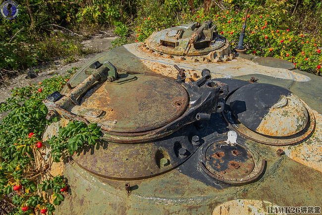 库页岛的最后防线：T-54坦克炮塔构筑炮兵阵地 如今已变成了废铁 - 36