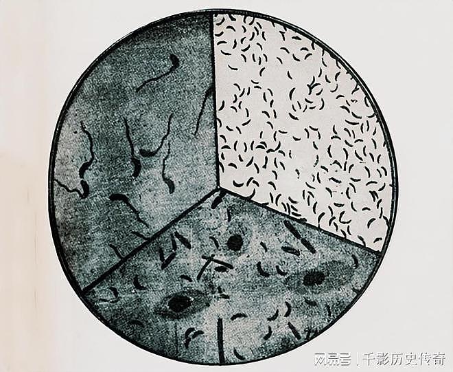1954年，日本军医写下一份供词，揭露了日军细菌战的罪恶 - 5
