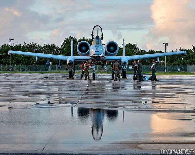 美军A-10攻击机在波多黎各参加演习 唯一采用“飞虎队”纪念涂装 - 10