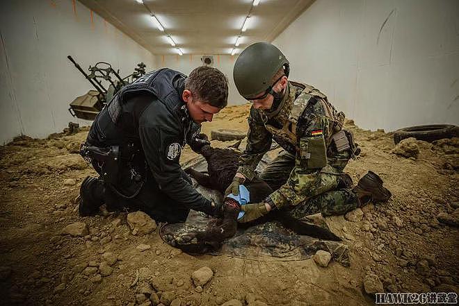 德国警犬训练员走进军犬学校 接受专业培训 对受伤警犬进行治疗 - 1