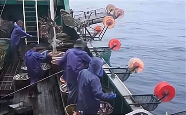 鲁荣渔2682号惨案：33人出海，22人被喂鲨鱼，堪称真实版大逃杀 - 5
