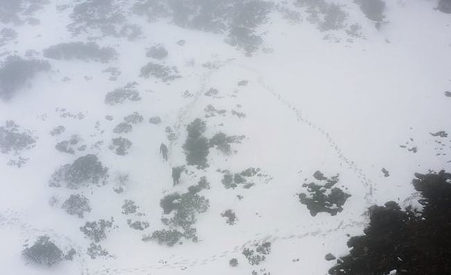 46岁钟汉良重走长征路！零下爬雪山环境艰险，走路手脚并用引泪目 - 8