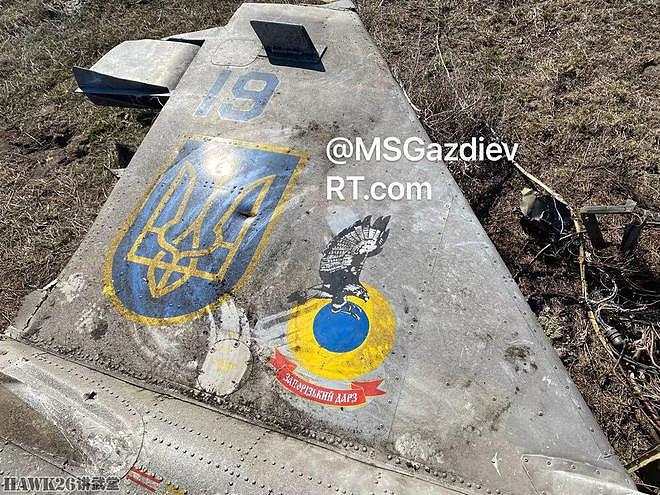 俄罗斯自杀式无人机“闹乌龙”乌克兰假目标制作精良 骗过操作员 - 8