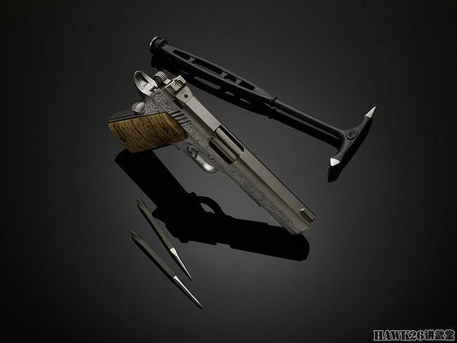 卡博特“泰坦”1911手枪 巧妙雕刻营造错觉 史前巨兽牙齿做握把 - 3