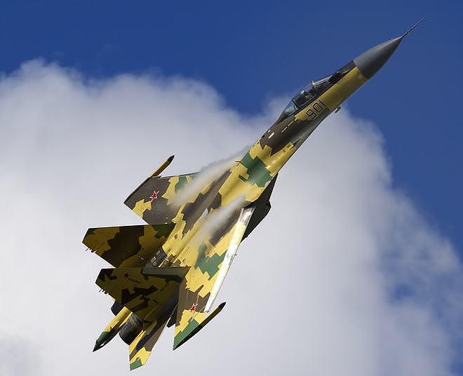 虎口拔牙！美国威逼埃及购买F-15，俄罗斯苏-35外销再次碰壁 - 5