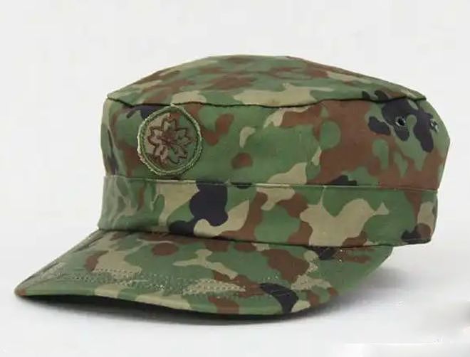 世界十个不同国家的军用作训帽，德国还在沿用二战样式 - 8