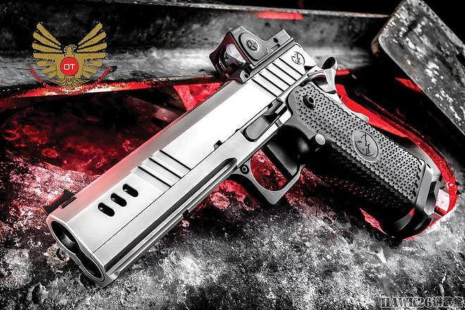 评测：夜鹰定制公司BDS9手枪 专业枪匠精心打造 5999美元不算贵 - 1
