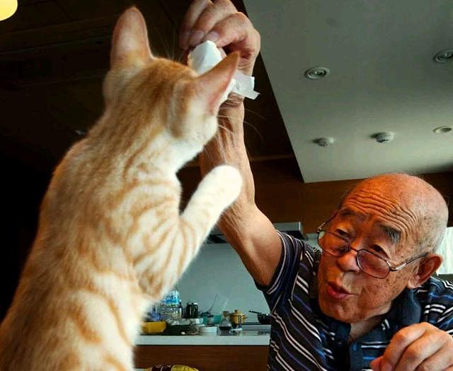 94岁爷爷患有易怒症，家人不敢同住，唯独“橘猫”能把他降服！ - 6