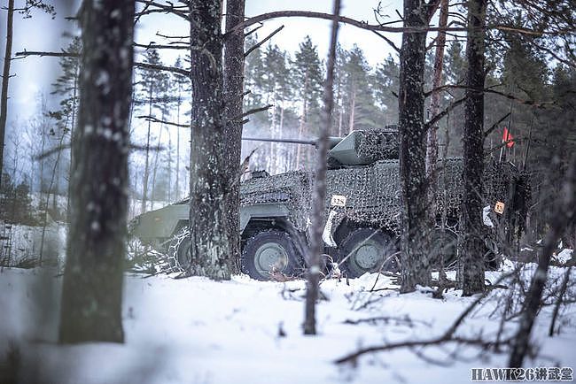 立陶宛国防部发布训练照 强调全部发射实弹 面对俄罗斯威胁有点慌 - 2