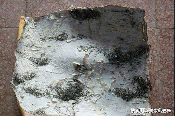 清朝的时候，为何吉林省的贡品中为何有桦树皮，原因想不到 - 6