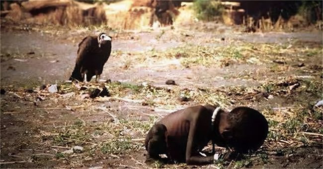 一张获奖照片：秃鹰站在女孩身后等她死去，作者受质疑自杀离世 - 3