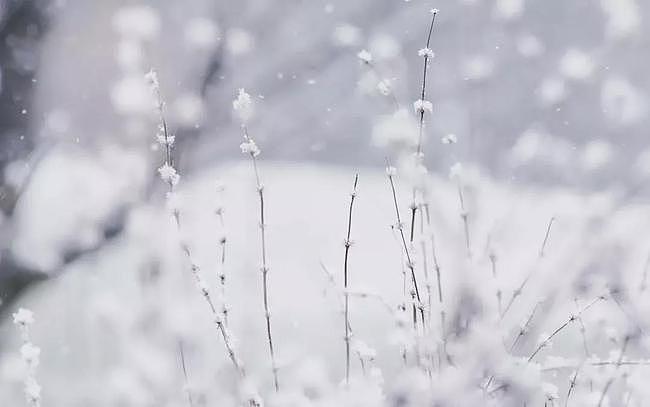 8首诗词，写尽冬日之美：岁月寒凉，但因你温暖 - 8