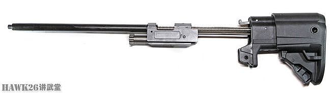 斯普林费尔德“恶棍”无托步枪 源自克罗地亚 精心设计性能超群 - 8