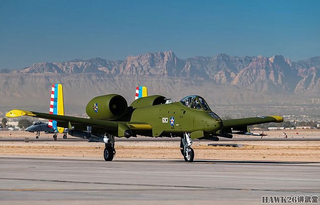 A-10特殊古典涂装亮相 纪念马里兰州空军国民警卫队成立100周年 - 1