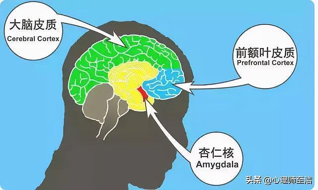 打败坏情绪，日本精神科医师列出了28条自助练习清单 - 1