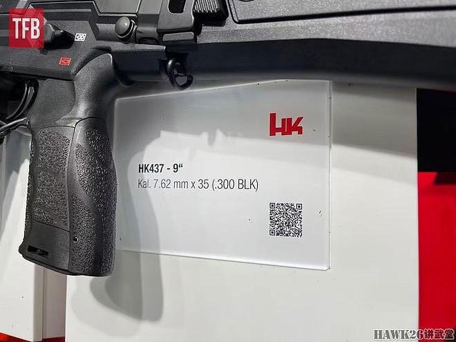 黑克勒-科赫HK437步枪 口径.300 BLK 瞄准执法部门微声武器需求 - 10