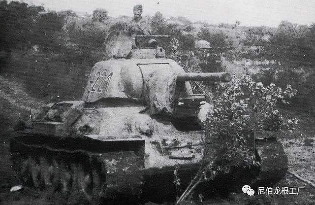 雅西弑亲者：国防军第128坦克歼击营第2连的缴获苏联战车 - 12