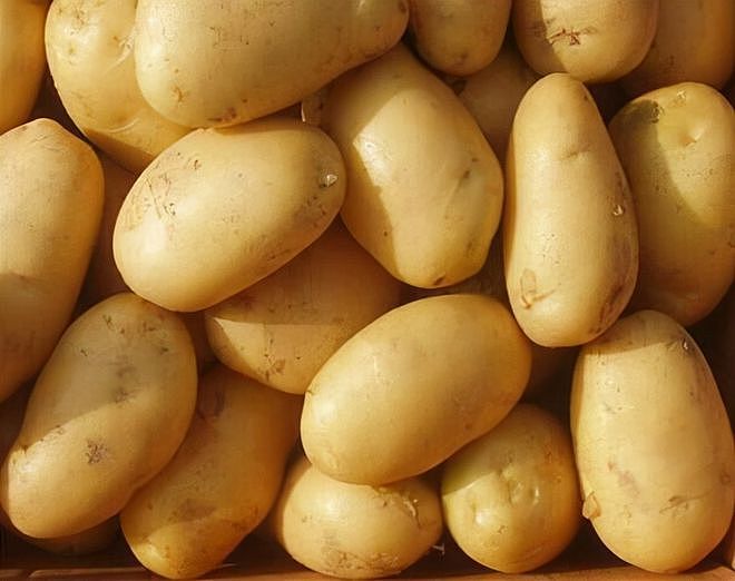 吃土豆可以减肥吗？水煮土豆代替白米饭，让你边吃边瘦下来 - 2