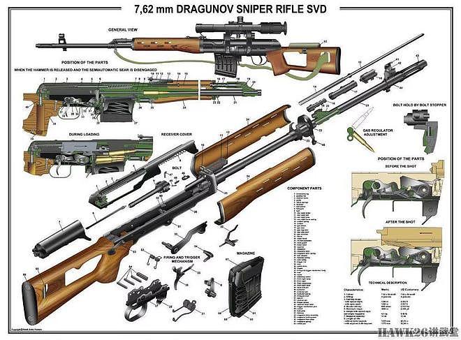 图说：SVD狙击步枪诞生60周年 受二战经验影响很大 苏军标志武器 - 4