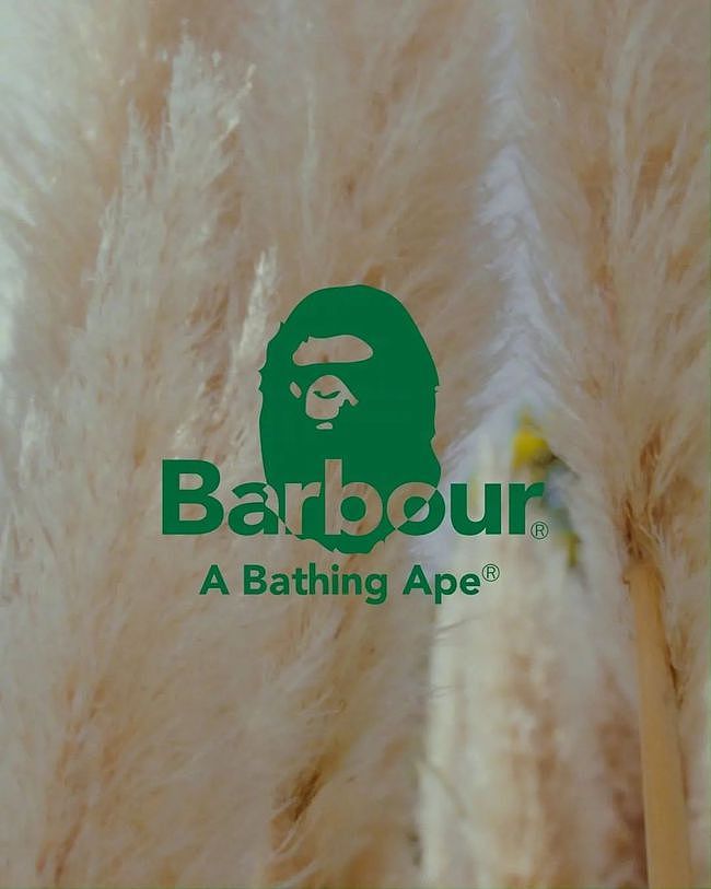 功能性与街头感的糅合，BAPE® x Barbour 联名系列正式登场 - 6