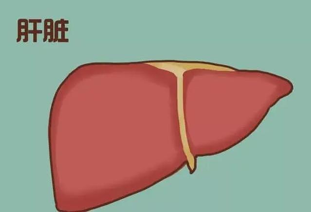 长期吃面条对肝好不好？医生：想养护肝脏的人，尽量少吃2种食物 - 1