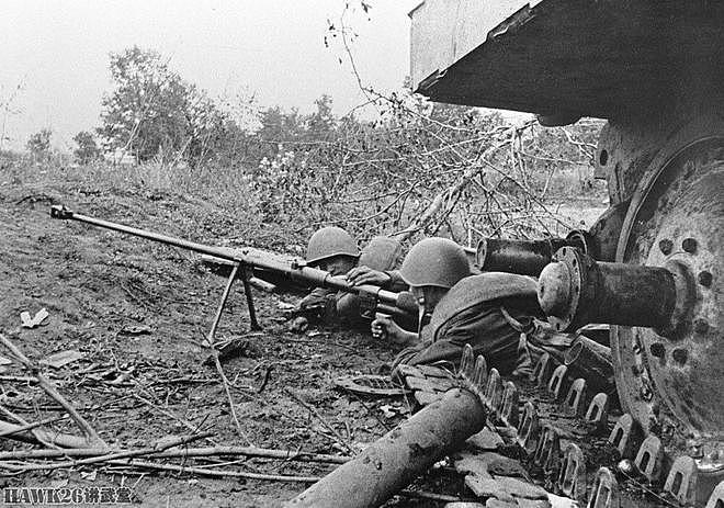 浅析：二战中反坦克步枪的真实作用 苏军士兵为何视它为催命符？ - 10