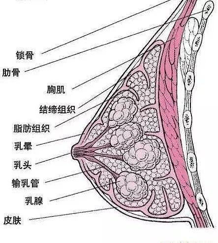 被乳房按摩害惨的中国女人……这个病例为所有女性敲响警钟 - 6